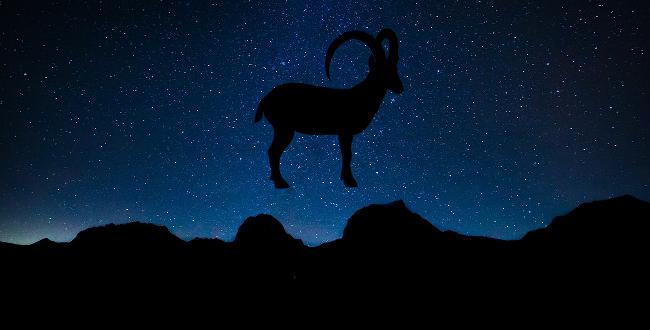 Sternzeichen Steinbock Anhänger Damen Herren