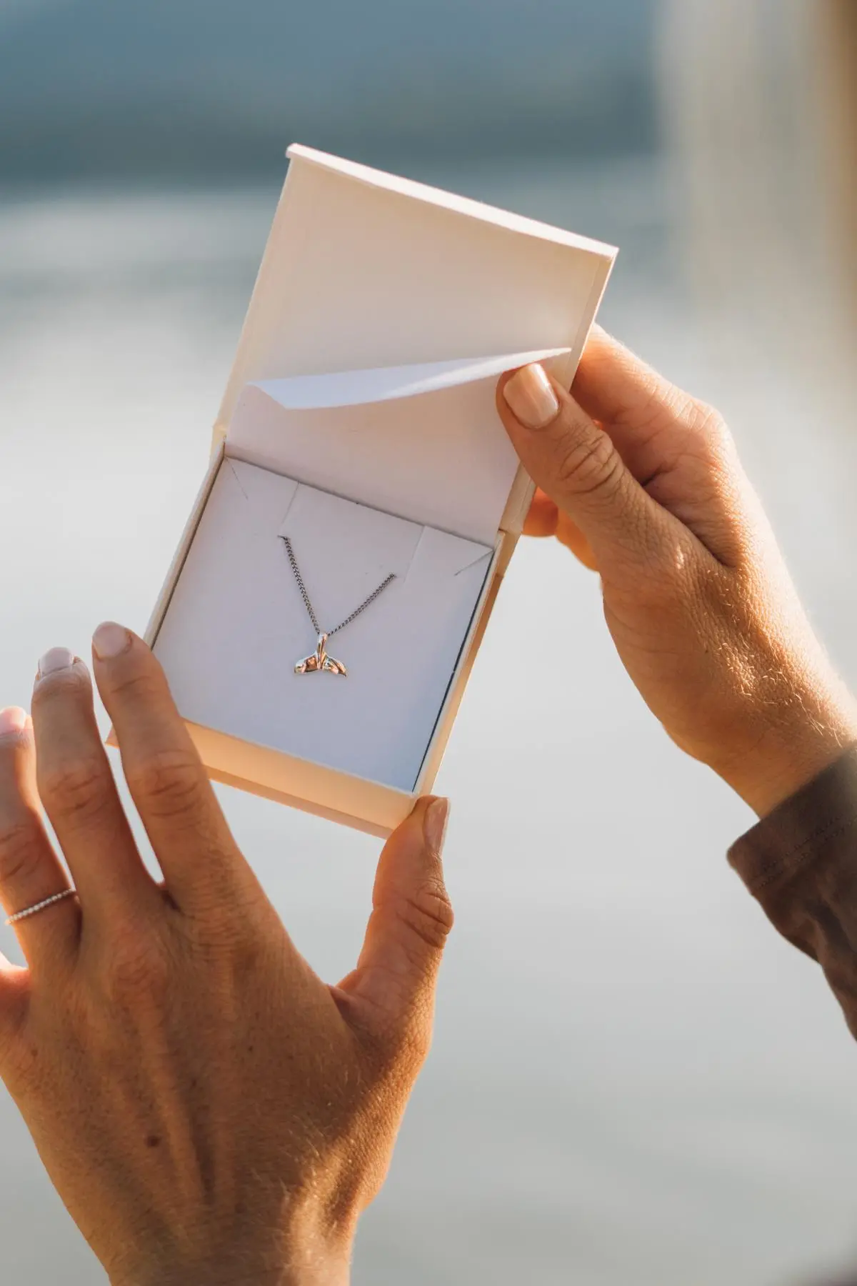 Whale Set - Damen & Mädchen Walflosse Orca Halskette Silber 925 45cm Whale Set - Damen & Mädchen Walflosse Orca Halskette Silber 925 45cm