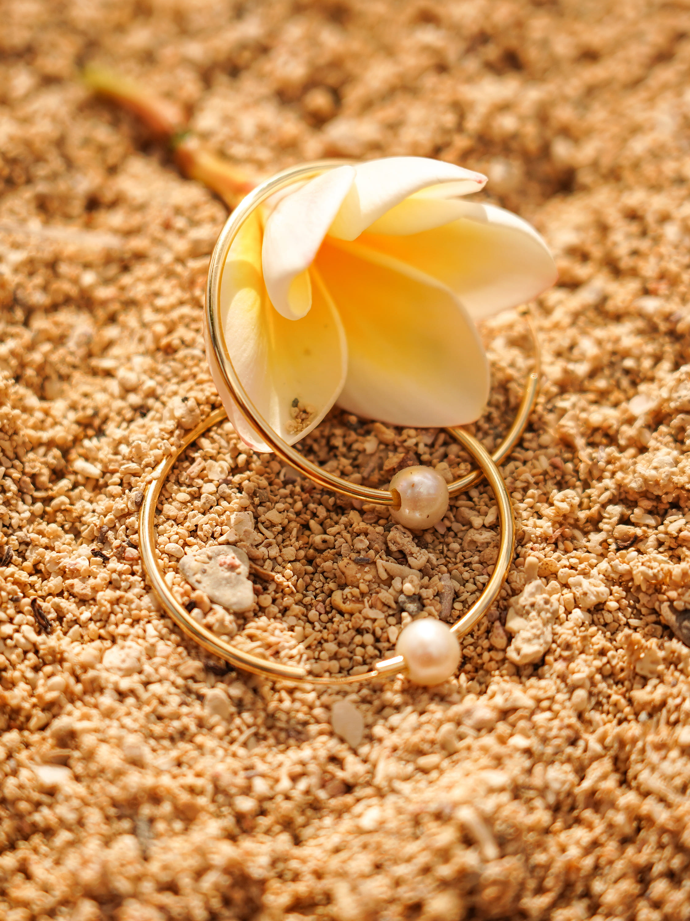Damencreolen aus echtem Gelbgold mit weißen Süßwasserperlen im Strandsand - Pearly Kiss | Stilleben
